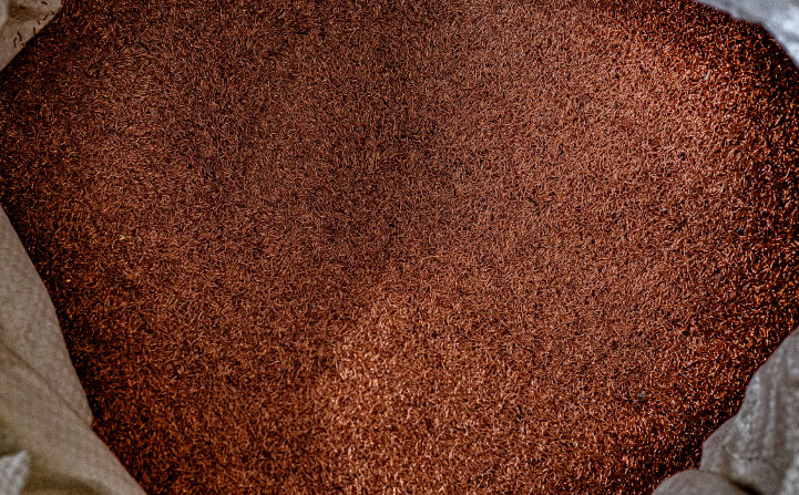 MK-26-Copper-Chips-image